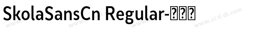 SkolaSansCn Regular字体转换